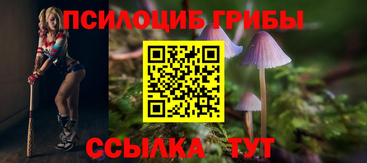 купить наркотики сайты  Галлюциногенные грибы Psilocybine cubensis  Вход с VPN  Кудымкар 
